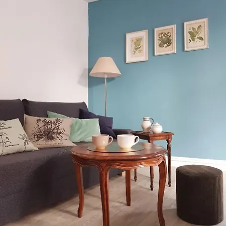Le Papillon Apartman Colmar